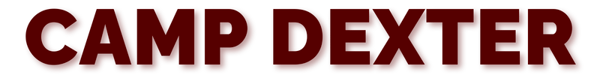 Picture for: School Age Child Care - Camp Dexter