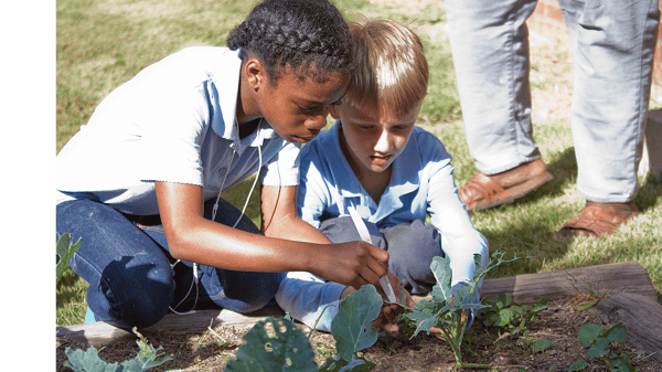 Picture for: Outdoor Explorers