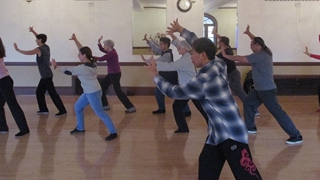 Picture for: Tai Chi: Yang Style