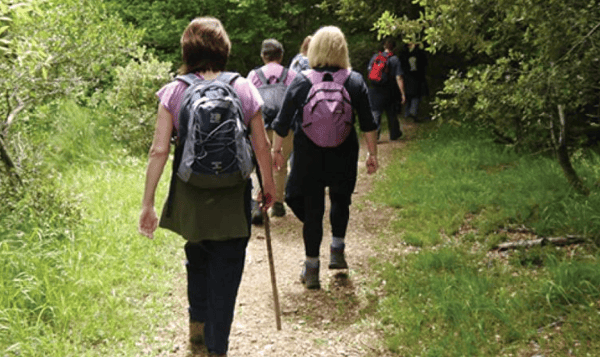 Picture for: Mystery Walks