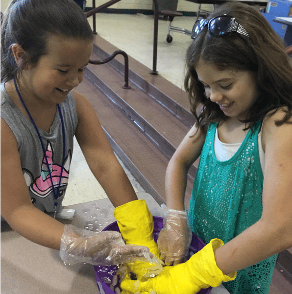 Picture for: Playing with Science