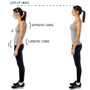 Picture for: Introduction to the Alexander Technique