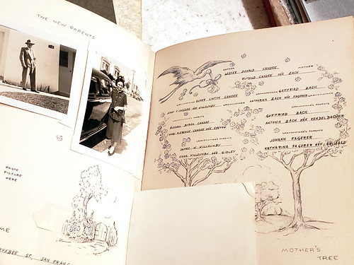 Baby book
