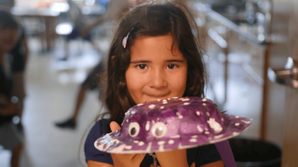 Picture for: Animal Arts & Crafts