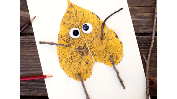 Course Nature Explorer & Collage image 1