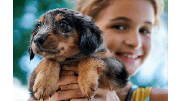 Picture for: Pet Pros