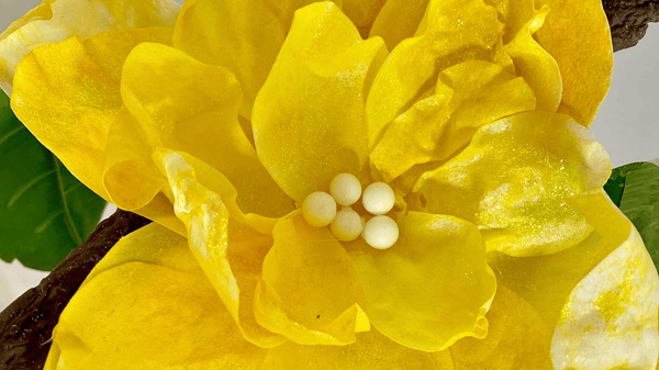 Course Edible Art image 1