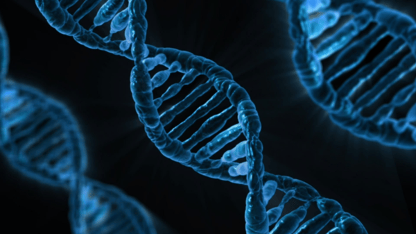 Image for Exploring Your DNA & Family Tree