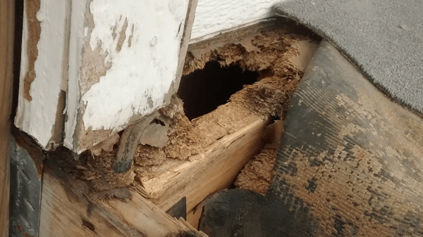 Course Home Inspection: Everything You Need to Know image 2