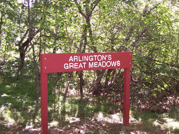 Course Walk Among the Wildflowers & Other Fascinating Flora image 1