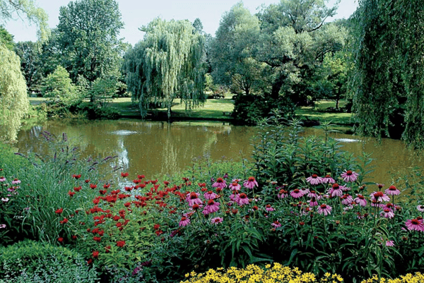 Picture for: Discover Mount Auburn Cemetery Walking Tour