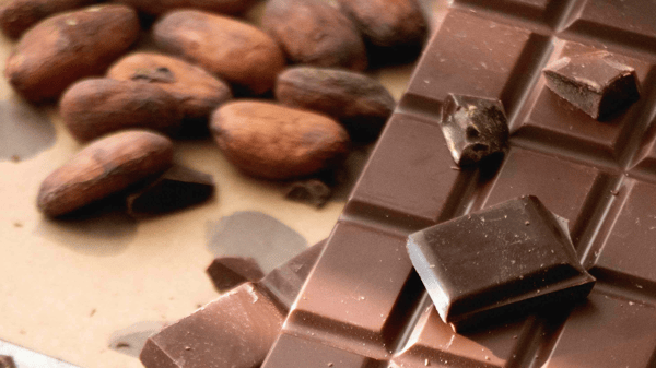 Picture for: Harvard Square Chocolate Tour