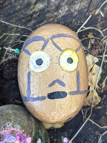 C3P0 pebble, Stump on 11th Gallery