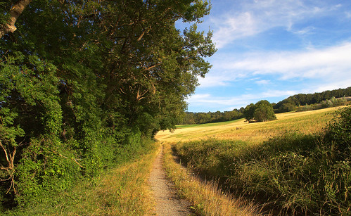 Picture for: Summer Solstice Walk