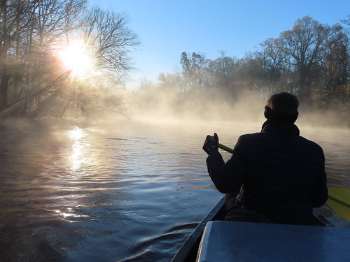 Picture for: Moonlight Canoe Tour