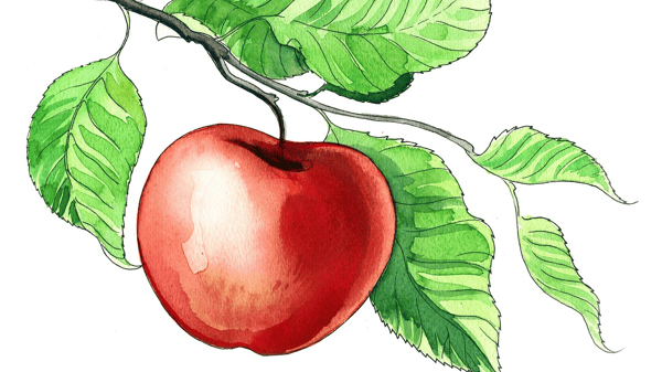 Course Capture Autumn with Watercolors image 1