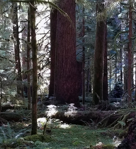 Picture for: Hiking Club: Darkness Falls