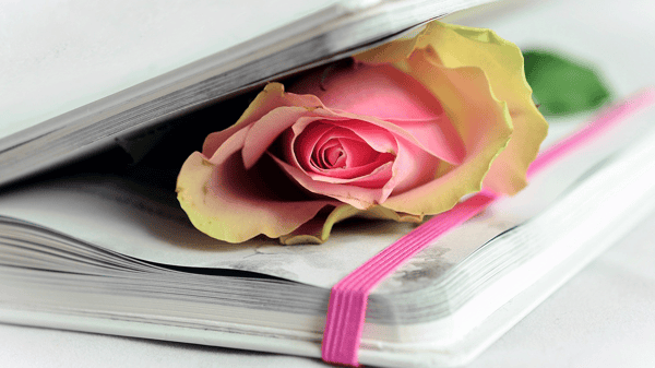 Course Writing Love Poems of All Kinds image 1