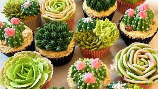 Course Cupcake Design: Blooming Succulents image 1