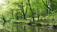 Picture for: Brookline’s Hidden River Walking Tour