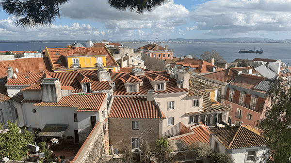 Picture for: International Travel Opportunities