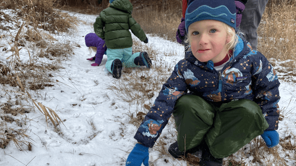 Picture for: Nature Detectives: The Way of Winter