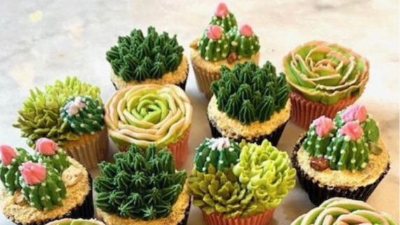 Image for Cupcake Decorating: Blooming Succulents
