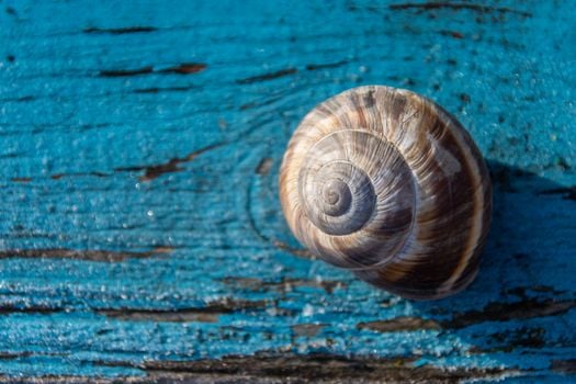 Picture for: Biomimicry: Nature Inspires