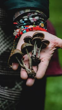 Picture for: From Fungi to Foraging
