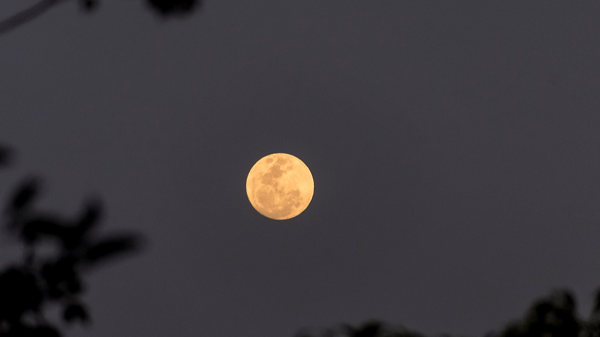 Picture for Moon Mission