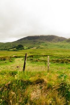 Image for Irish Roots to Passport: Reclaiming Irish Citizenship