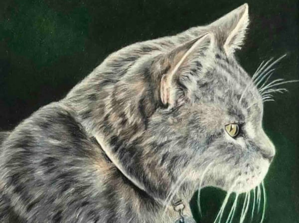 Picture for: Introduction to Drawing with Pencils