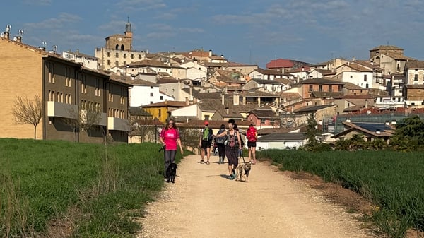 Picture for: 40 Days on the Camino de Santiago