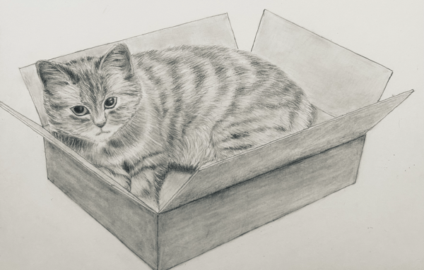 Picture for: Anyone Can Draw