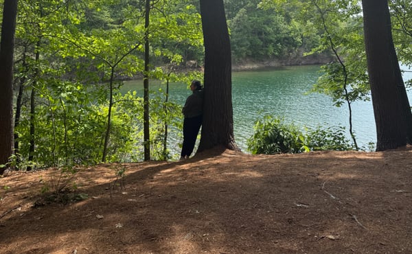 Picture for: Forest Bathing in the Land of Thoreau