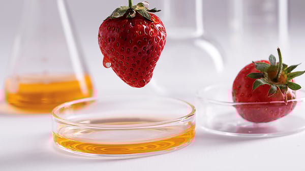 Picture for: Edible Science