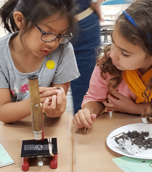 Picture for Mass Audubon Nature Detectives: Autumn Investigations