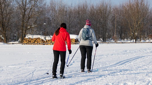 Picture for: Beginning Cross-Country Skiing