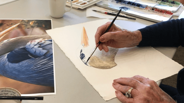 Course Beginner/Intermediate Adult Watercolor Class - Summer 2026 image 1