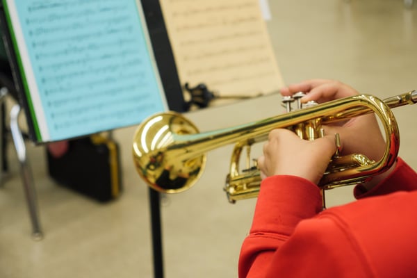 Picture for: Youth Music and Theatre