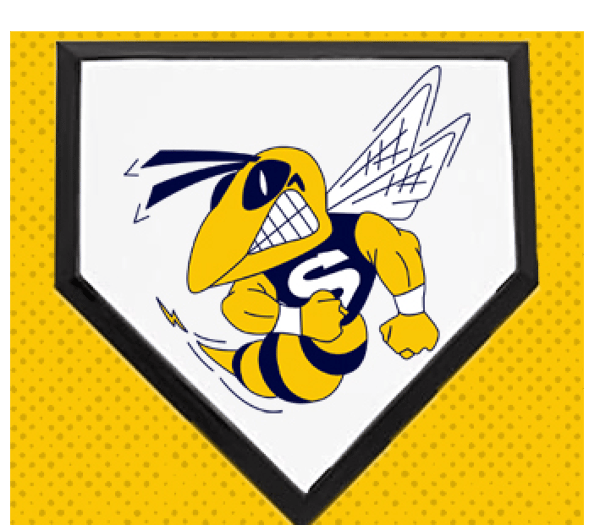 Course Baseball Camp image 1