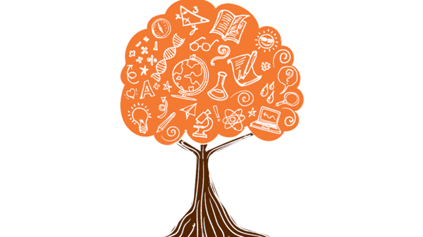 Course Middle School Academic Enrichment Camp image 1