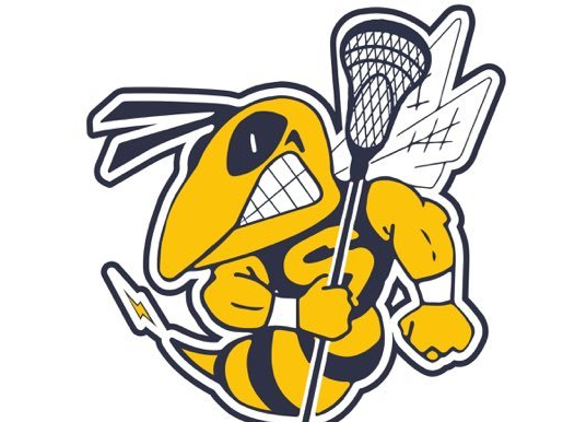 Picture for: Boys Lacrosse Camp