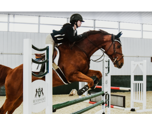 Course Horseback Riding Lessons - English Discipline image 1