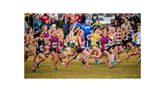Picture for: High School Girls Cross Country Summer Conditioning