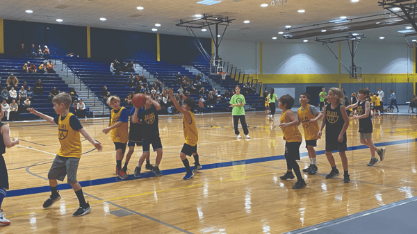 Picture for: Youth Recreation Basketball League