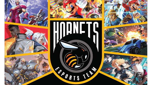 Course Saline eSports Team image 1