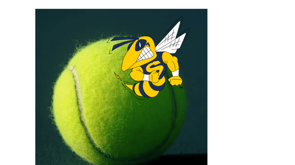Picture for: Heritage Tennis Lessons