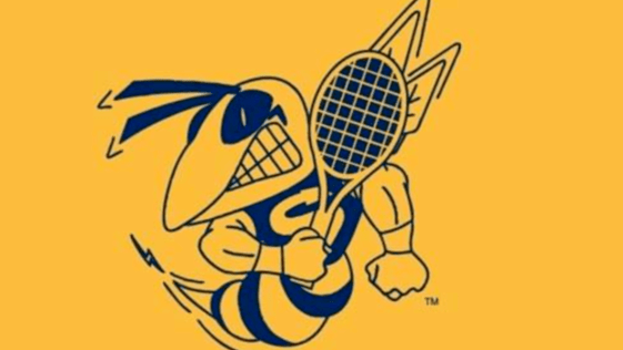 Course Competitive Matchplay and Supervised Hitaround image 1