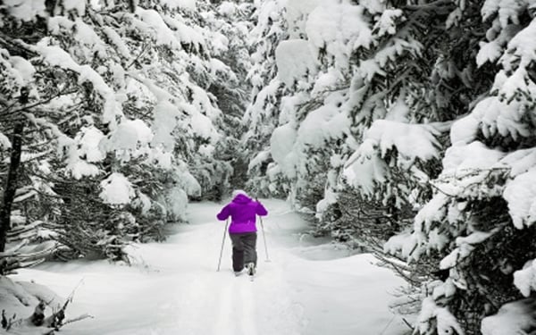 Image for Cross Country Ski Group Lessons Beginner